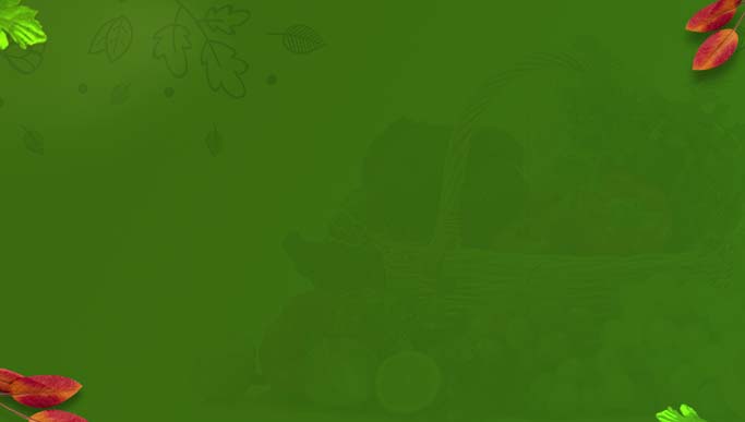 2nd Annual MarketsandMarkets Plant Based and Alternative Protein Conference