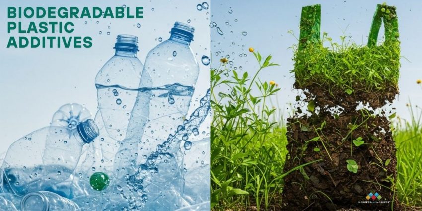 Biodegradable Plastic Additives Market