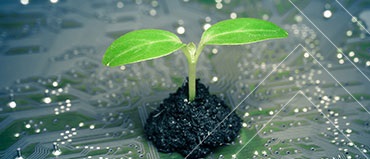 Green Technology and Sustainability Market
